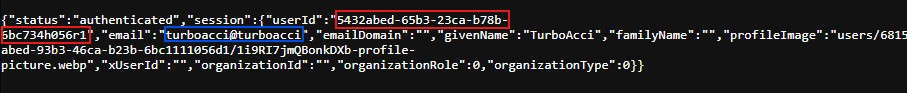 Ответ Grok auth/session с выделенными userId и email